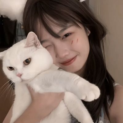 博鱼官方体育登录入口